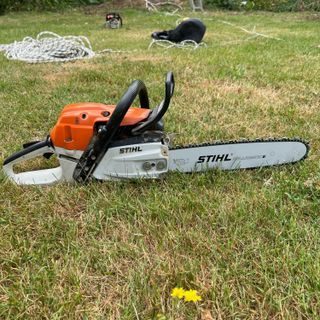 baumfällung ruhrgebiet baumfällung ruhrgebiet bäume fällen durch firma fachbetrieb