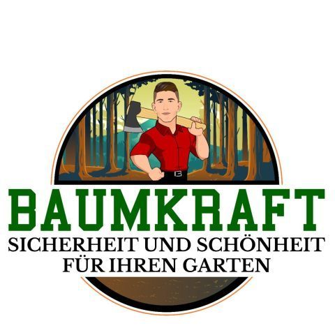 baumfällung firma ruhrgebiet nrw baumfällung firma ruhrgebiet nrw bäume fällen lassen durch fachbetrieb
