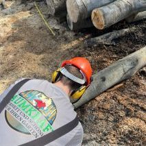 baumfällung baumpflege ruhrgebiet und umgebung baumfällung baumpflege ruhrgebiet und umgebung mit Sitz in der Stadt Herne